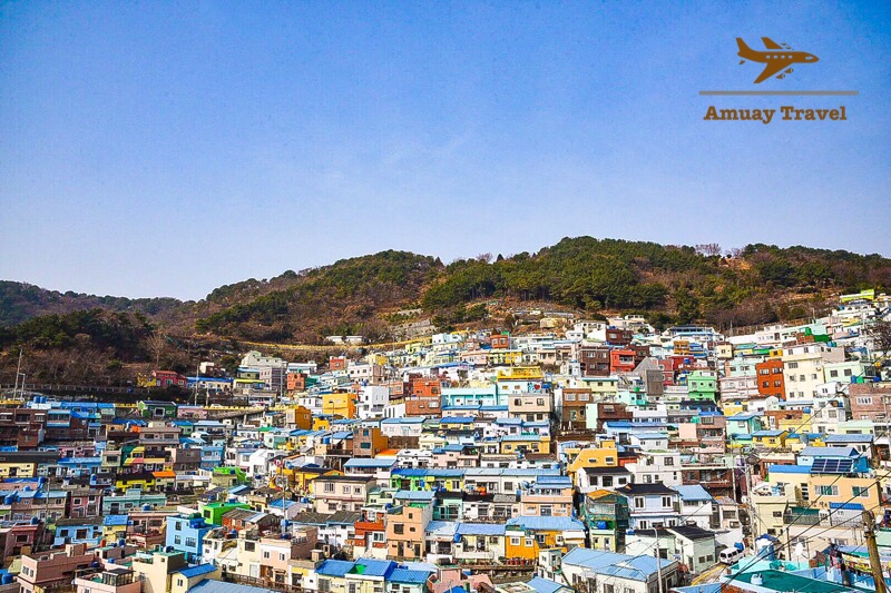 00F09486-754F-4FCA-B542-6F46C6919FA8