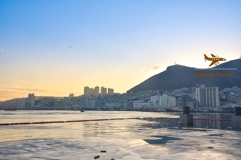 1323D8B5-9CC0-4B31-A17F-3F483B0D57D8