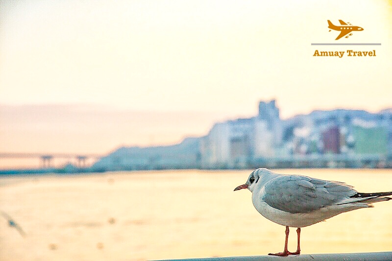 1EBFB419-061A-4550-AA95-DC9D588AD8DF