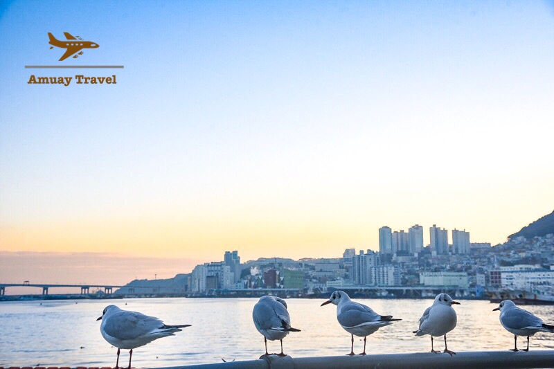 3670C22C-DC7A-438D-B233-4BEC73579A8E