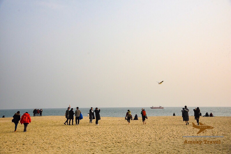 53ECAF3A-2CEE-4CF1-9724-A1E3545E2754