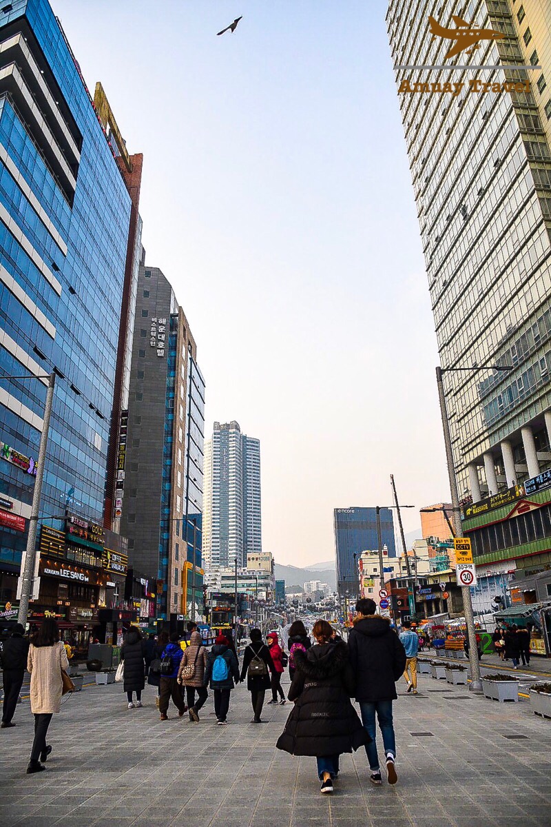 F77E33D7-3CC7-4903-A6C5-1C3CA2A35219